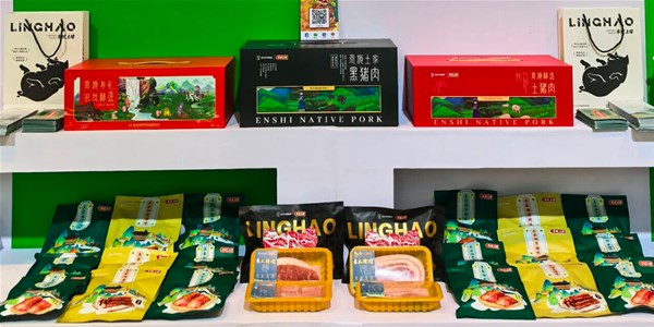 湖北日报|兼具实力与颜值 “楚小田”、零号土猪圈粉天津卫