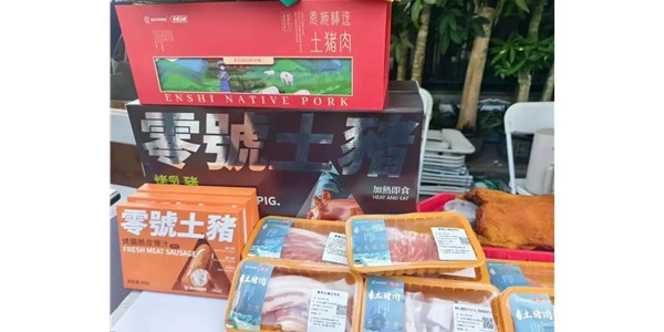 石萍一行赴农发零号公司调研